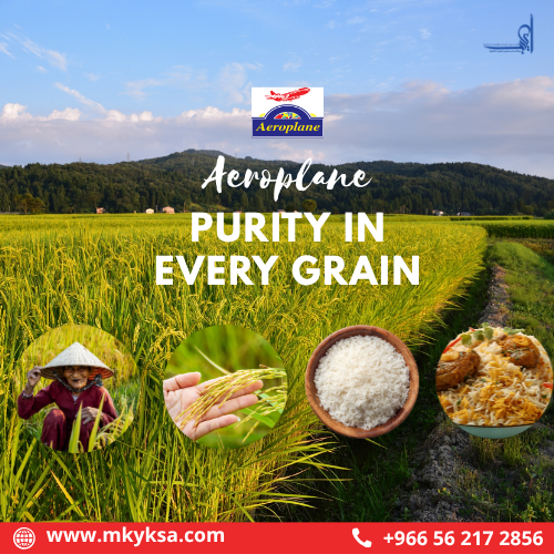 Why Long Grain Basmati Rice Is Perfect for Kabsa & Traditional Dishes